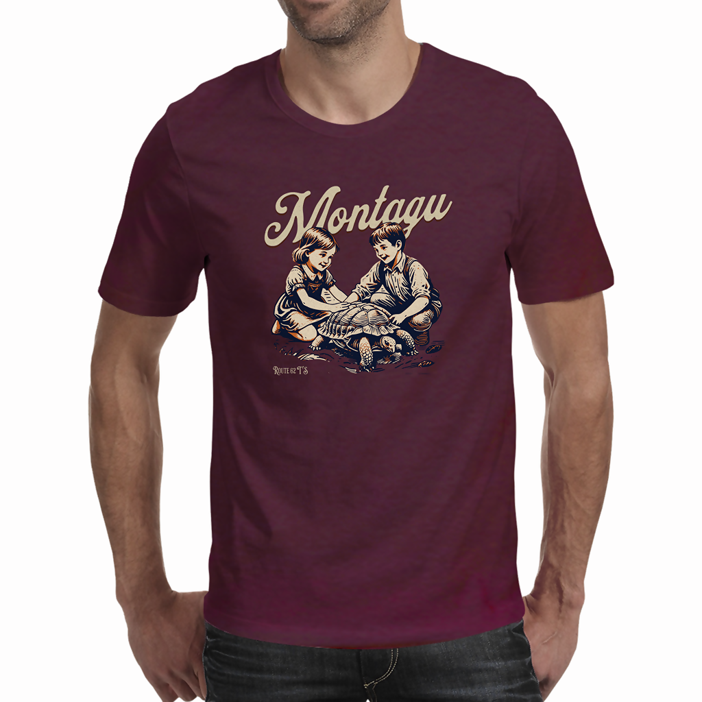 Montagu Playground Men's T - Shirt ( Route 62 T'S )