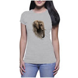 Elephant in the dust - Ladies T-Shirt (Podpop)