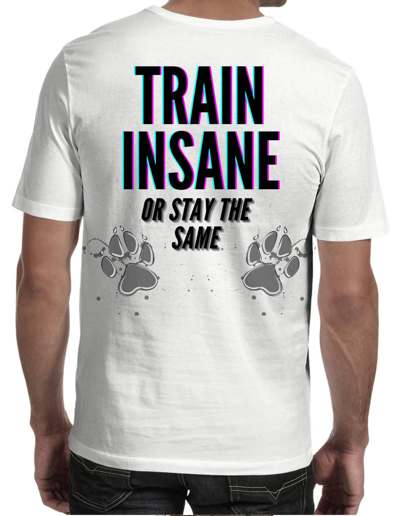 Train Insane Light Shirt - A3 Back and Small (A4) Logo left chest - Men's T-Shirt (Huzki Apparel)